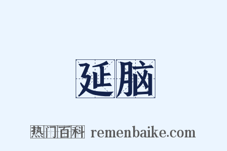 延脑是什么意思的图片